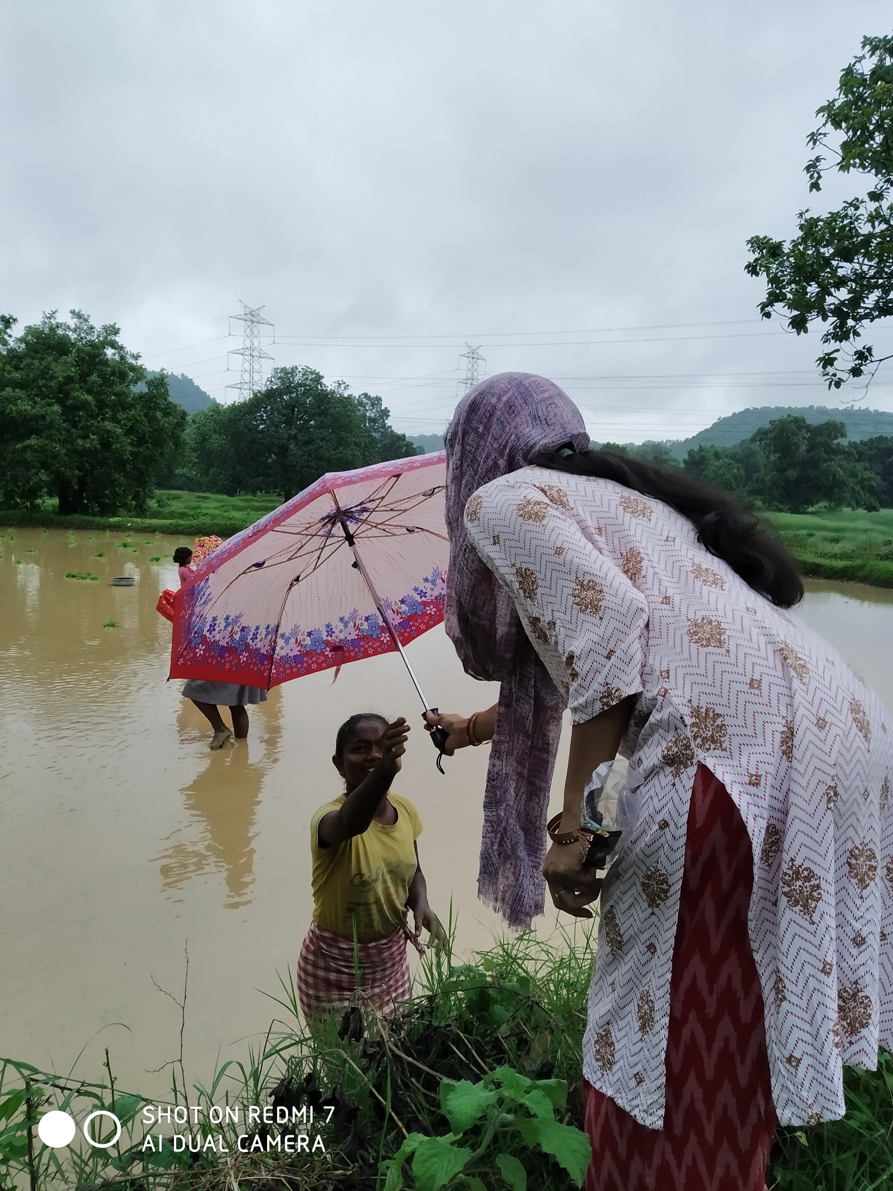 Umbrella Distribution Phase 2