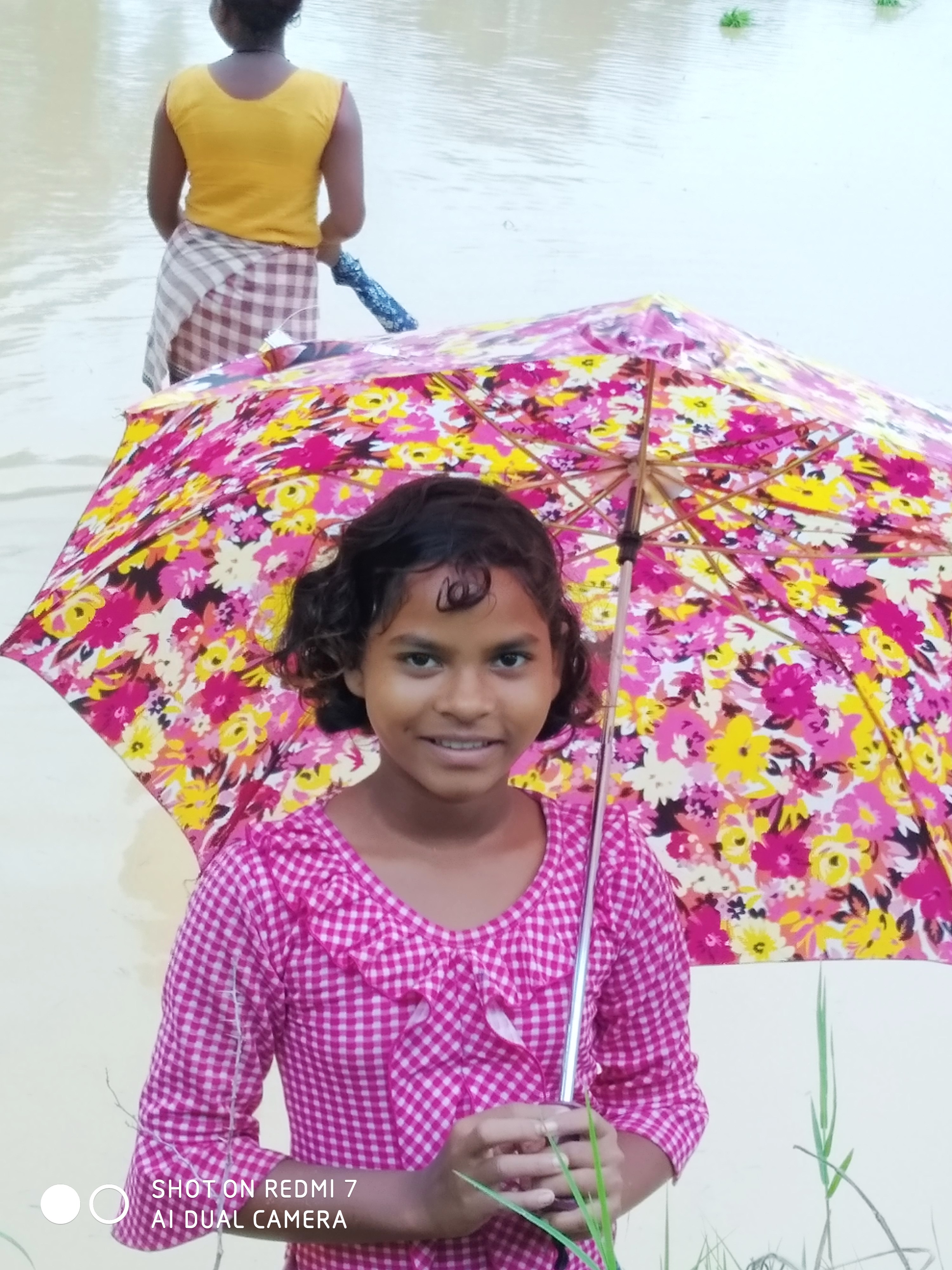 Umbrella Distribution Phase 2