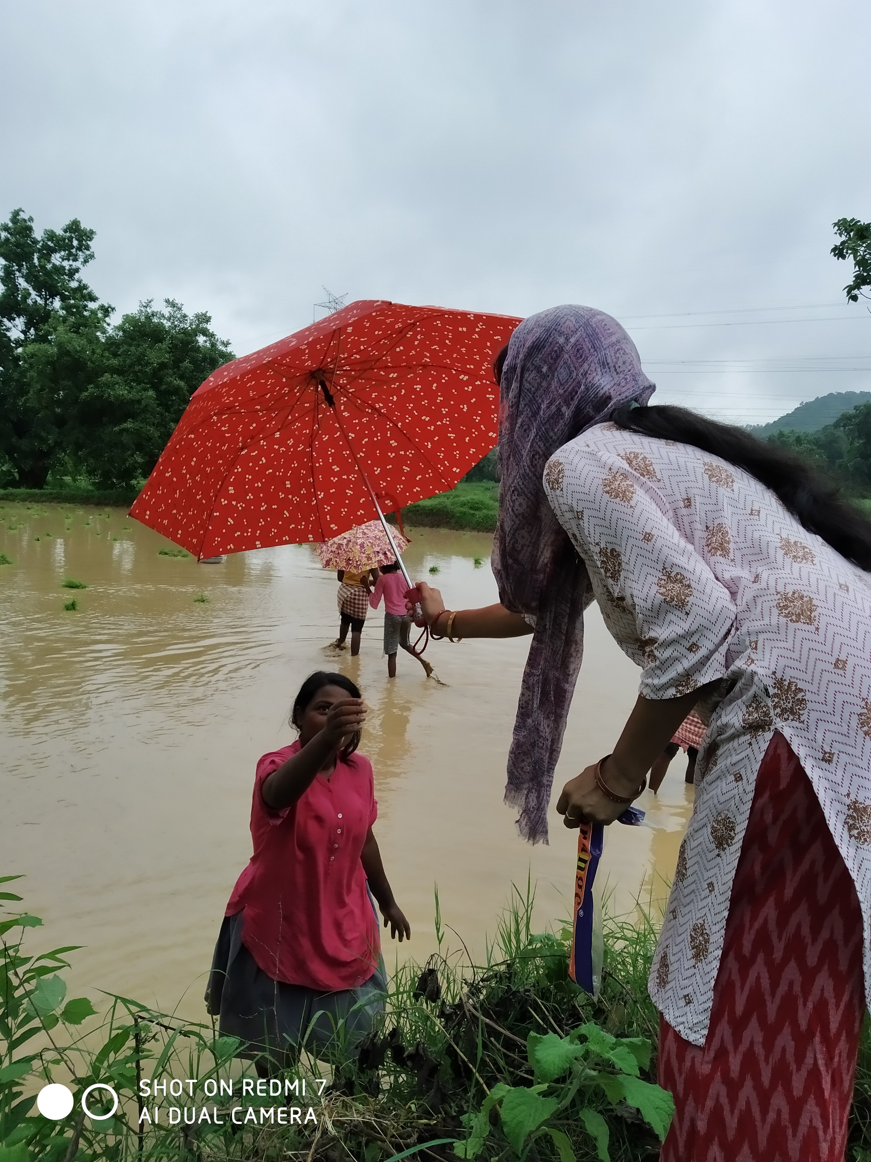 Umbrella Distribution Phase 2