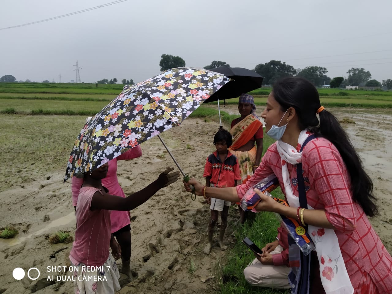 Umbrella Distribution Phase 3