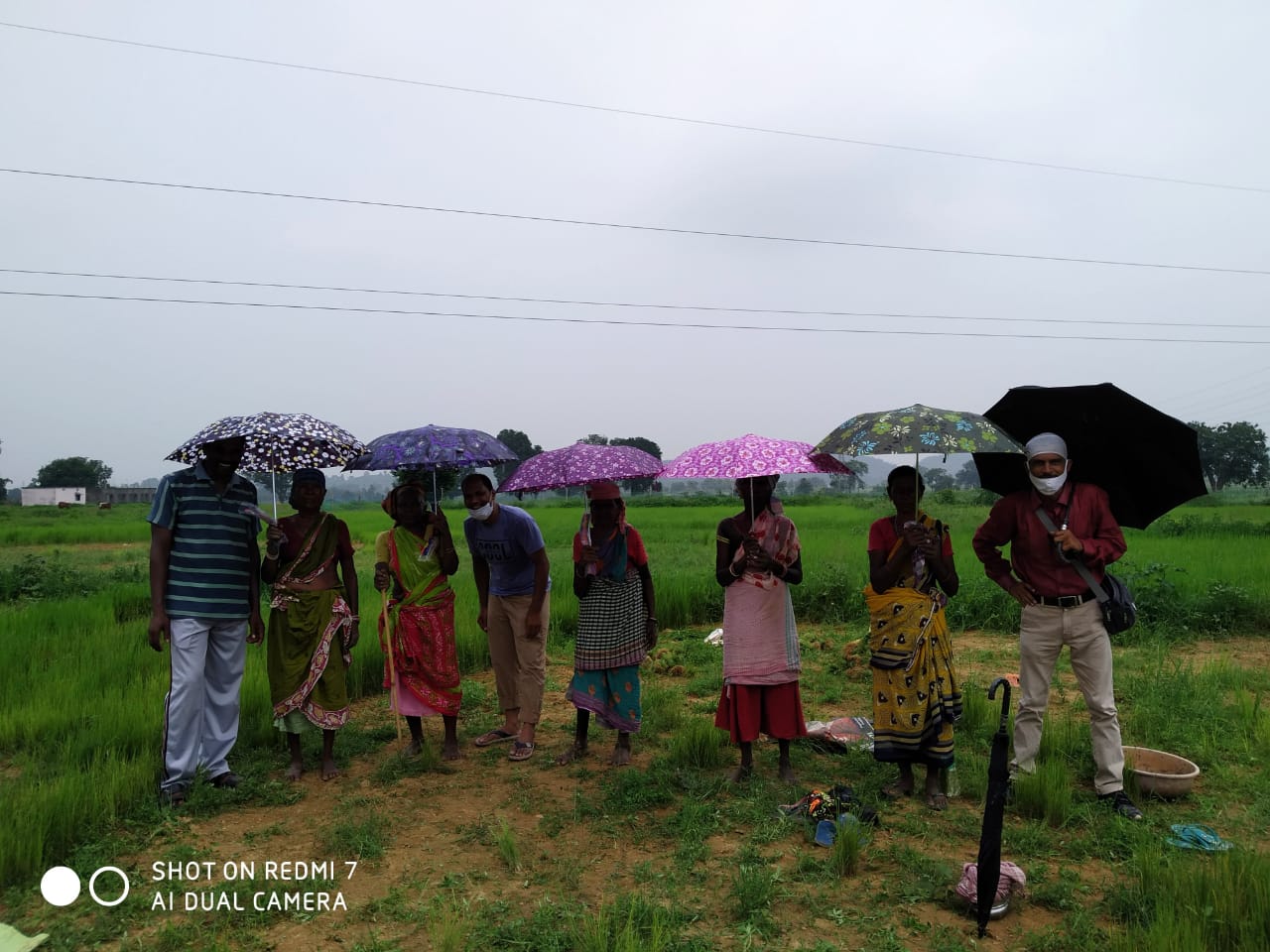 Umbrella Distribution Phase 3