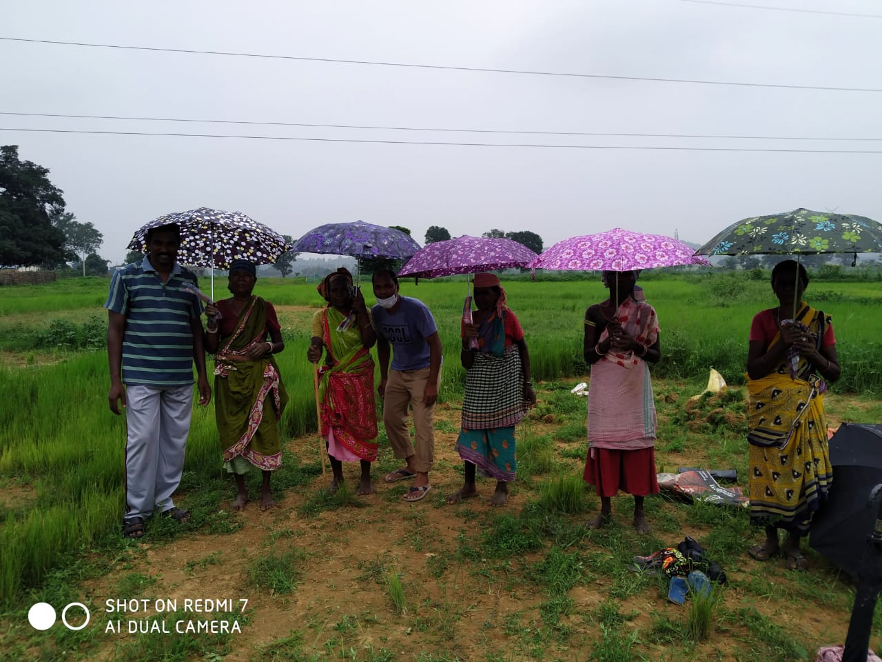 Umbrella Distribution Phase 3