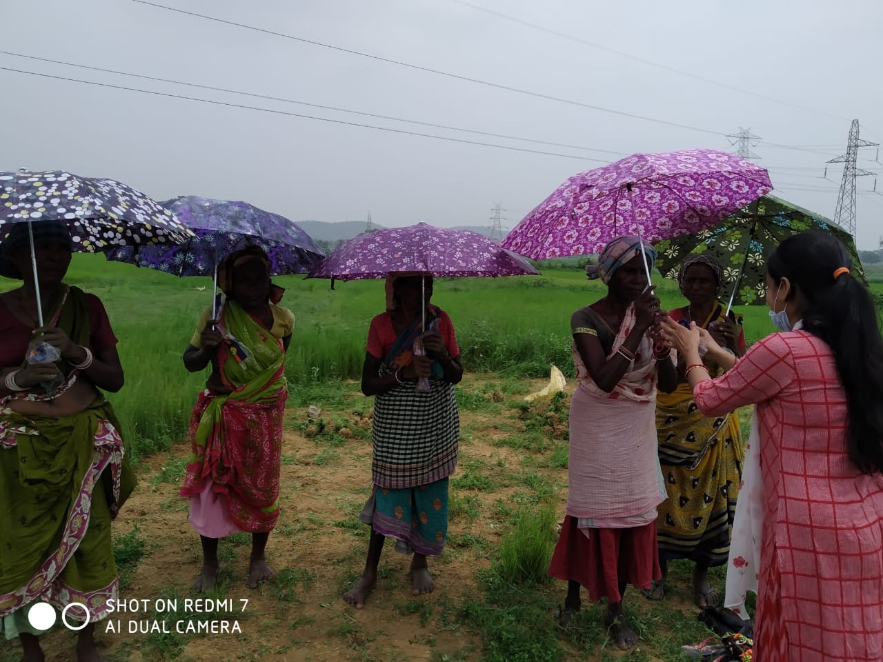 Umbrella Distribution Phase 3