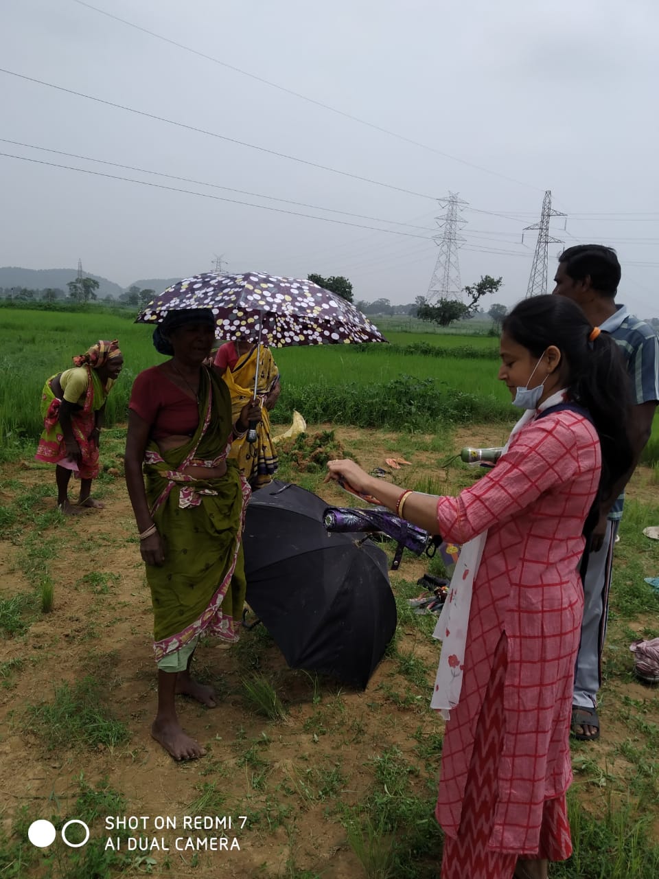 Umbrella Distribution Phase 3