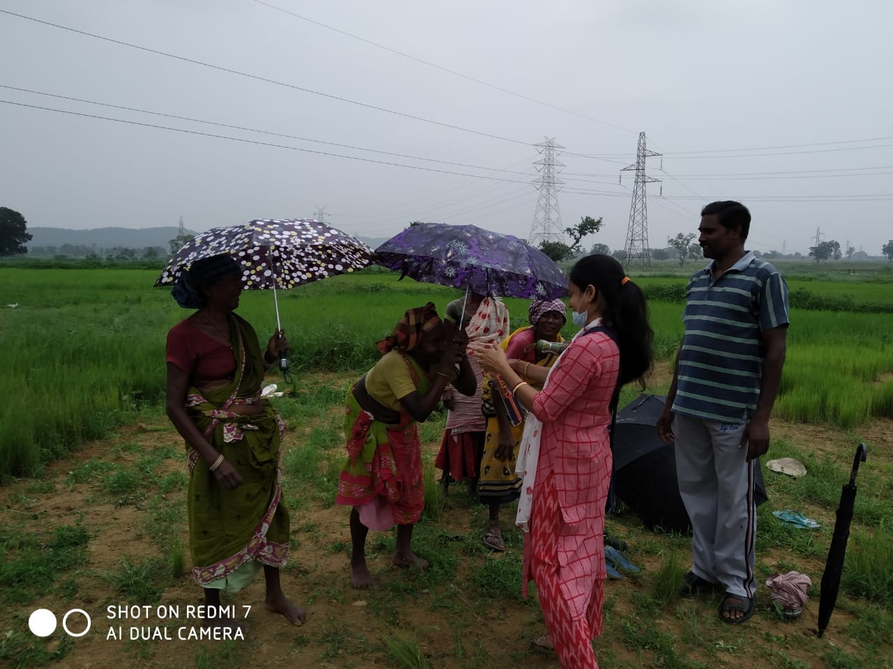 Umbrella Distribution Phase 3