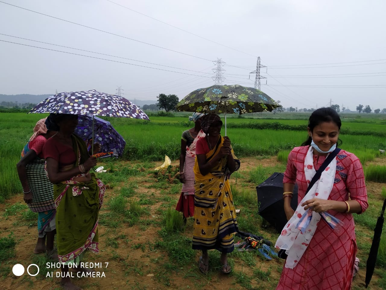 Umbrella Distribution Phase 3