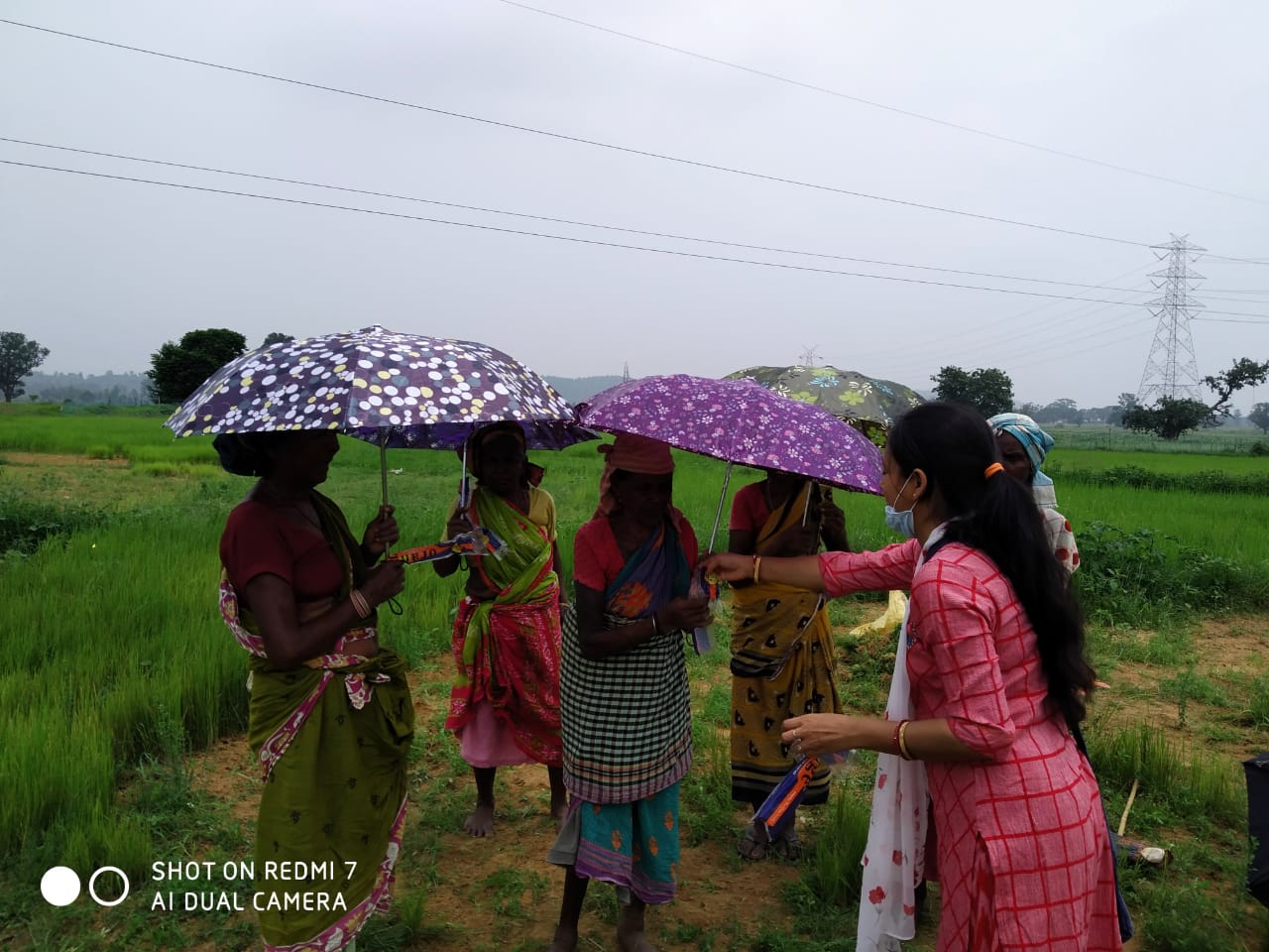 Umbrella Distribution Phase 3