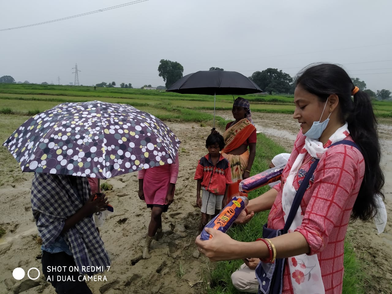 Umbrella Distribution Phase 3