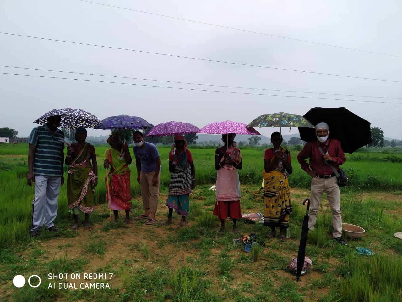 Umbrella Distribution Phase 3