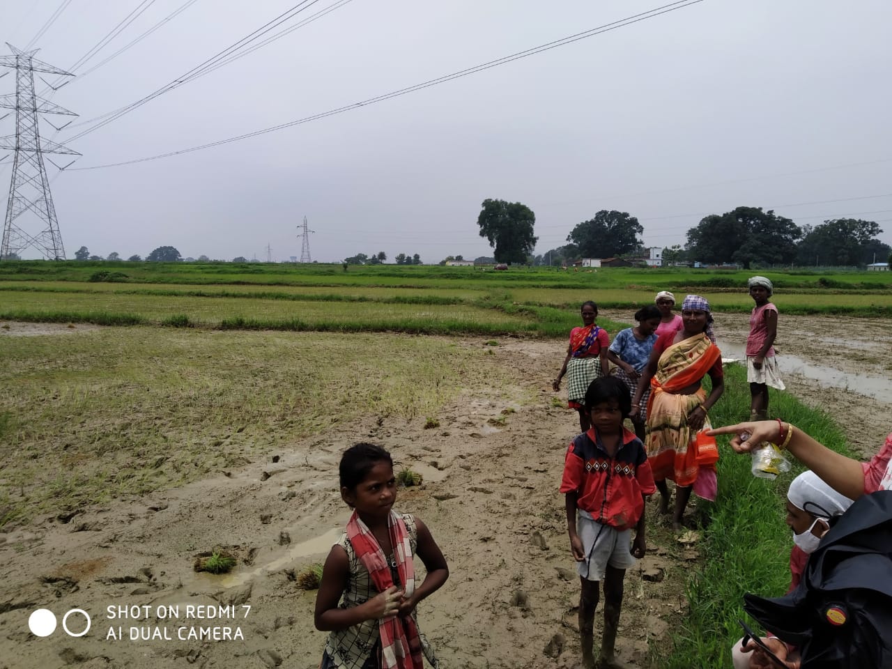 Umbrella Distribution Phase 3