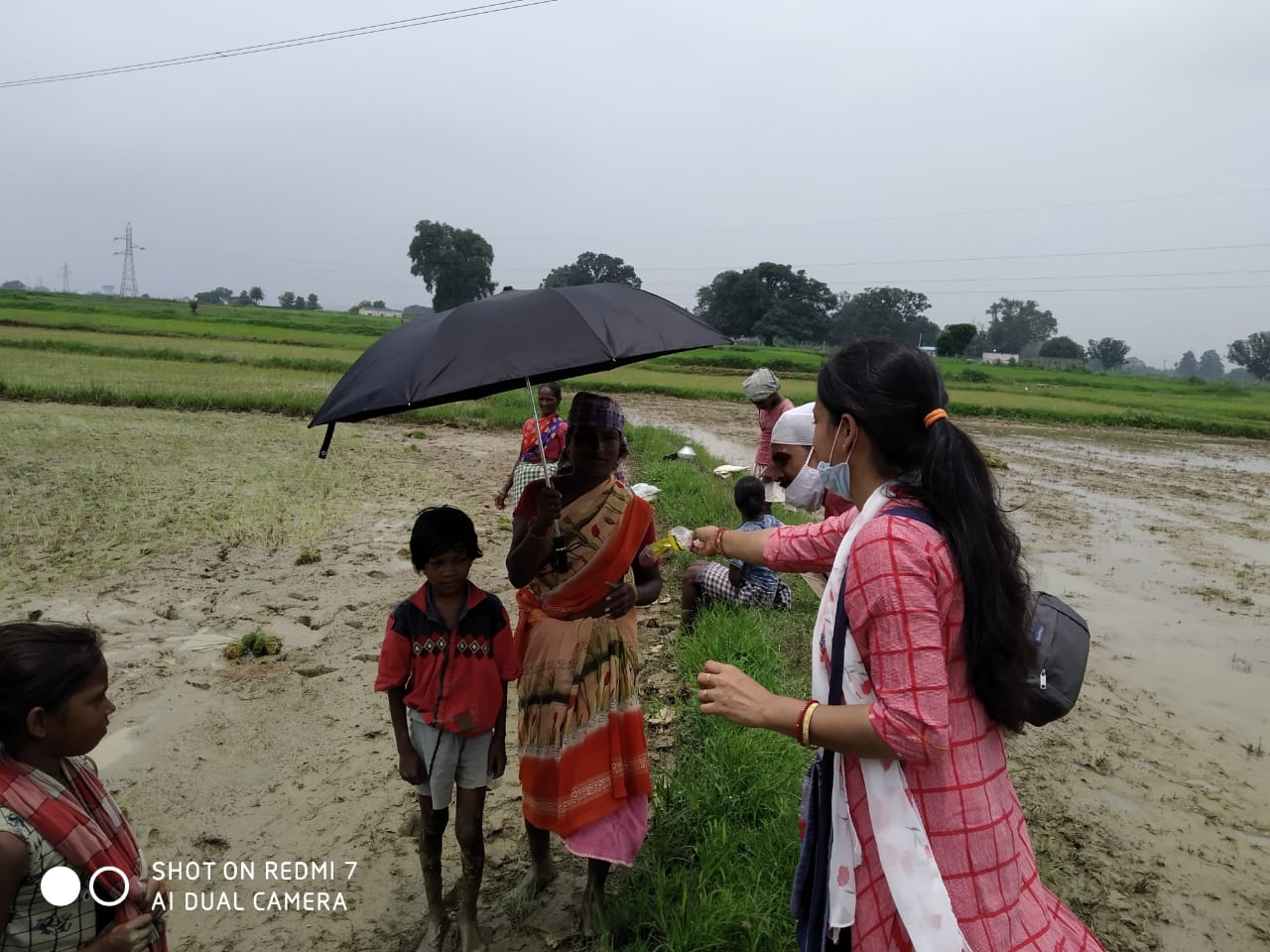 Umbrella Distribution Phase 3