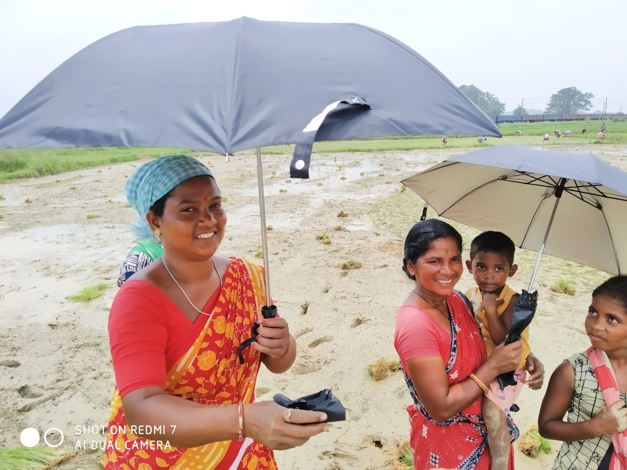 Umbrella Distribution Phase 3