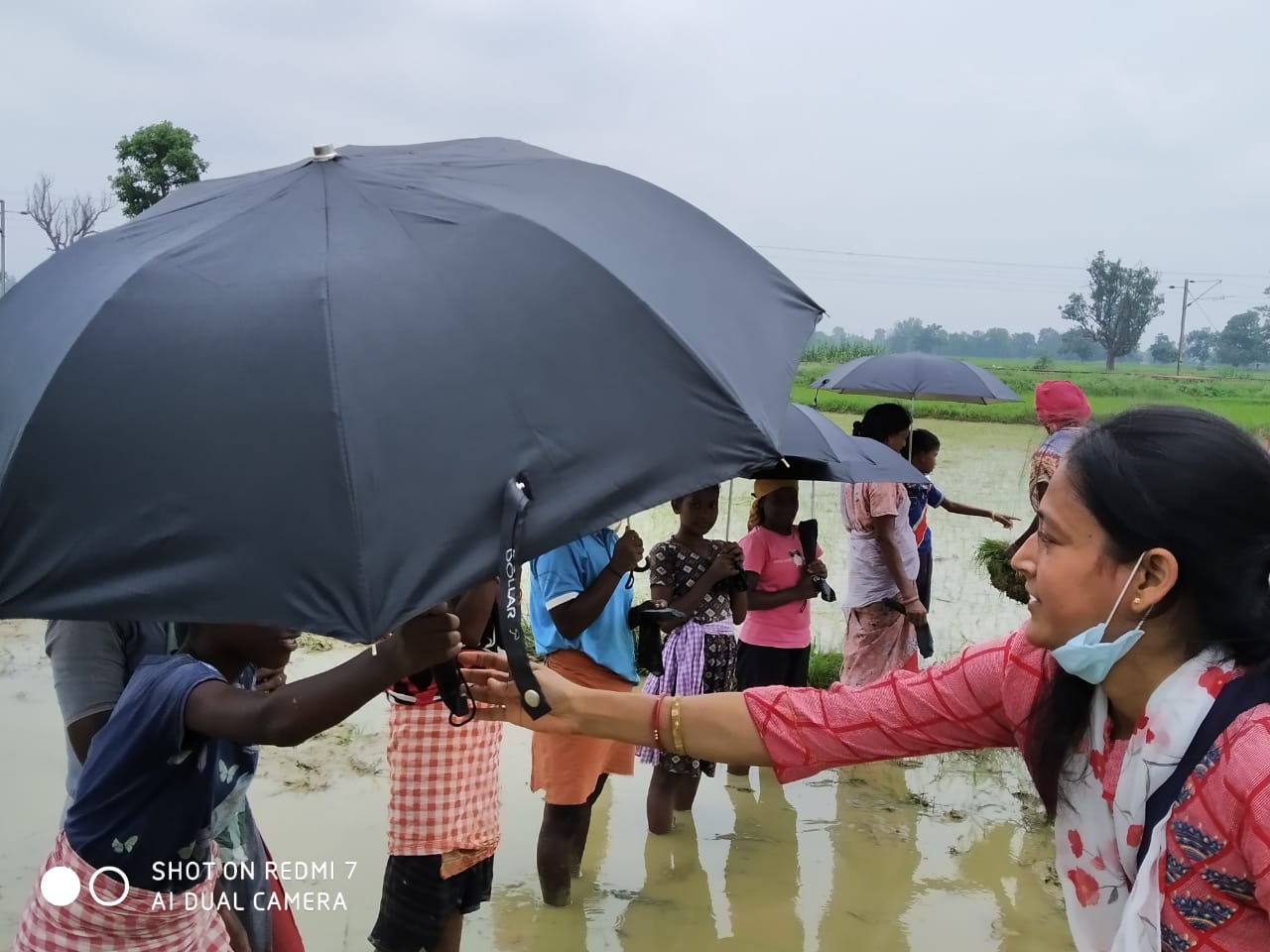 Umbrella Distribution Phase 3