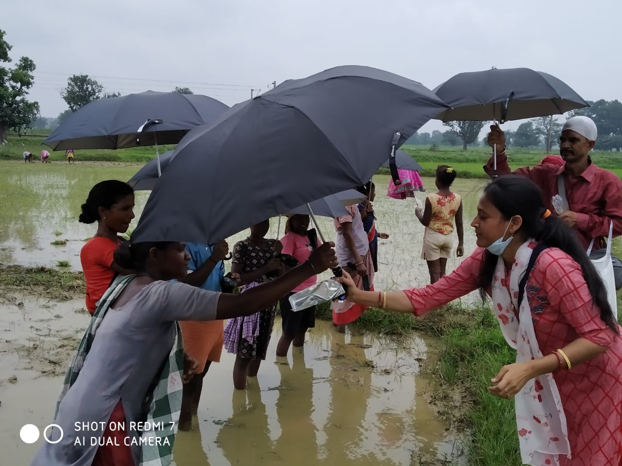 Umbrella Distribution Phase 3
