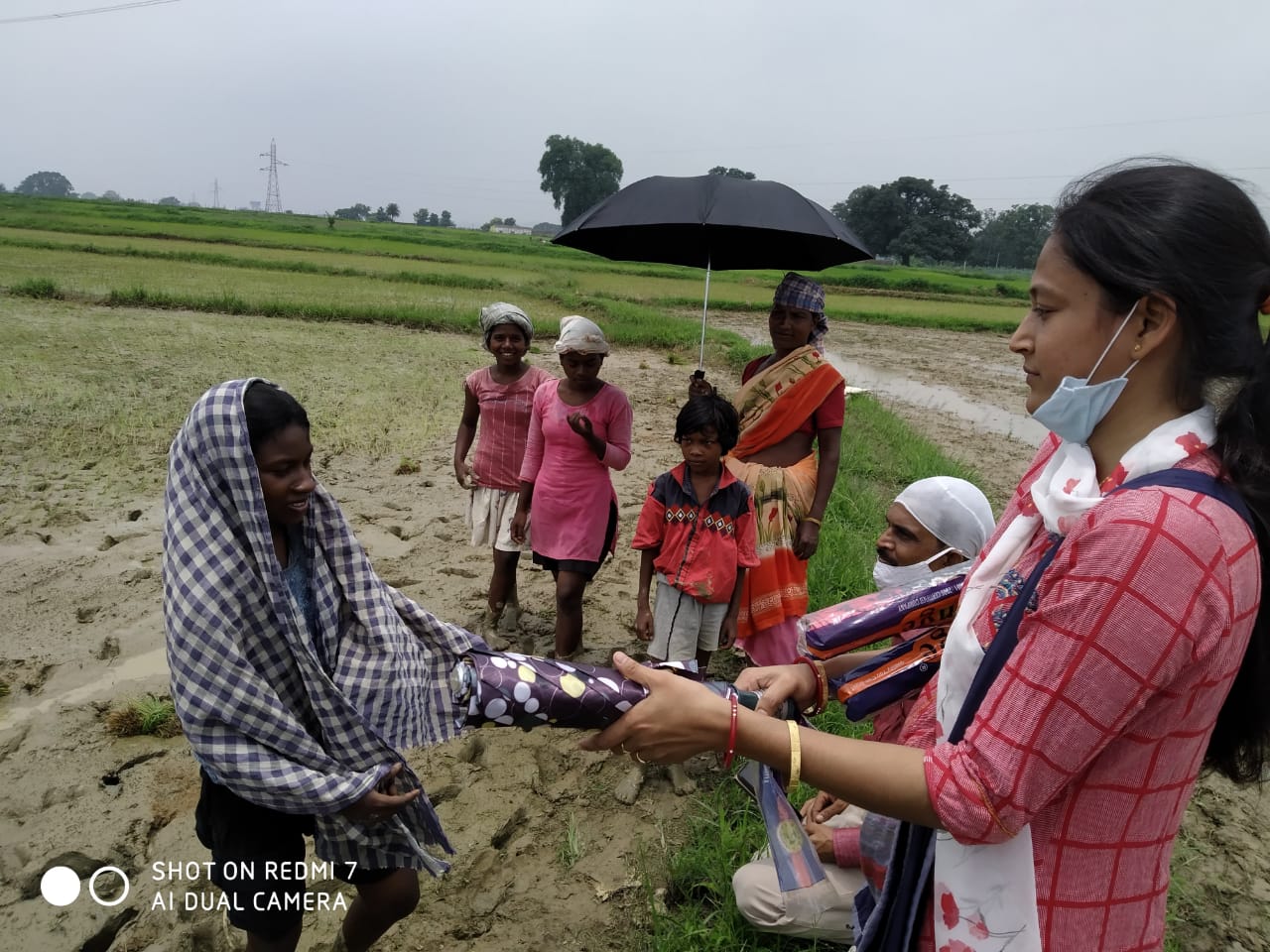 Umbrella Distribution Phase 3