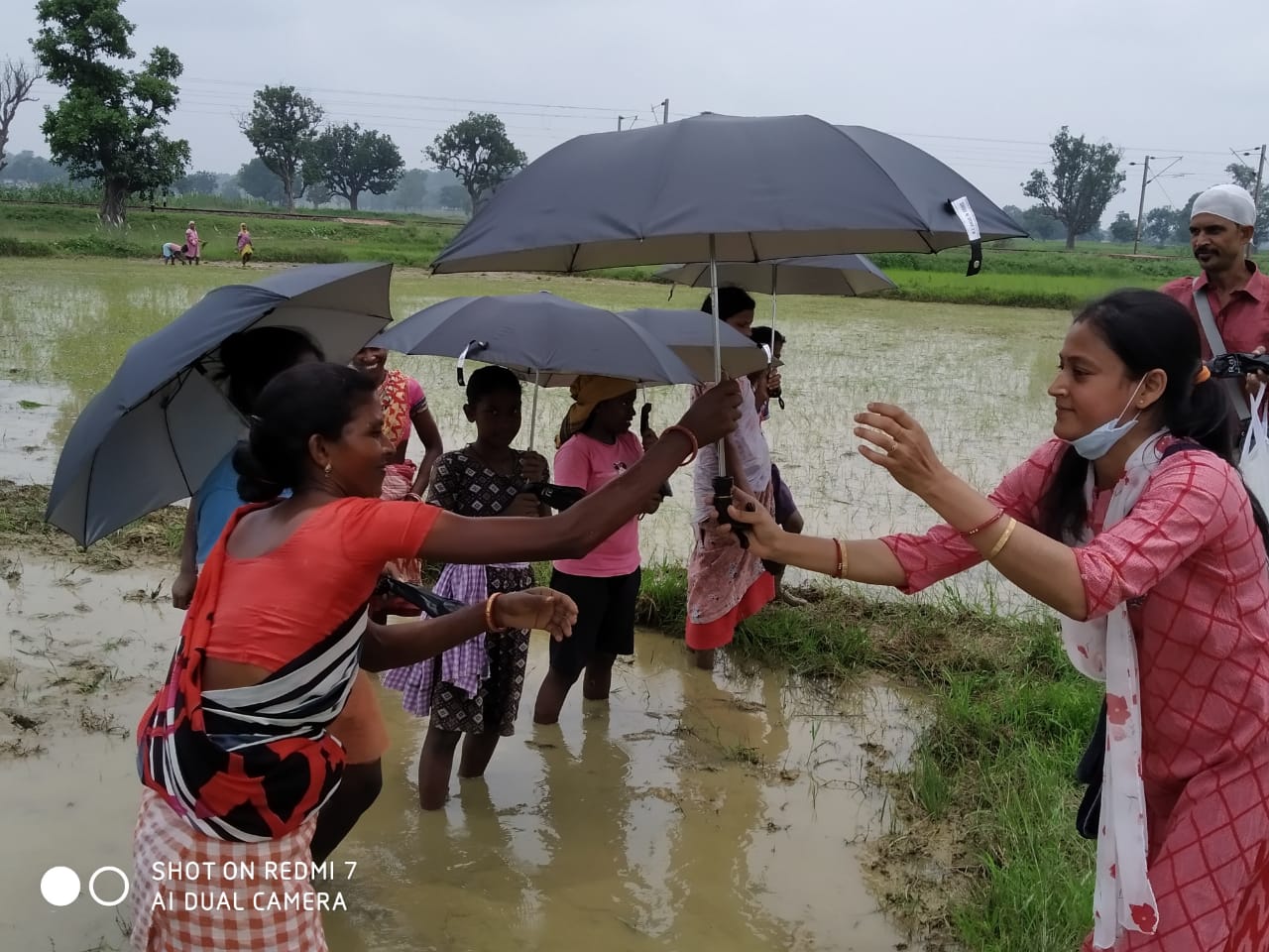 Umbrella Distribution Phase 3