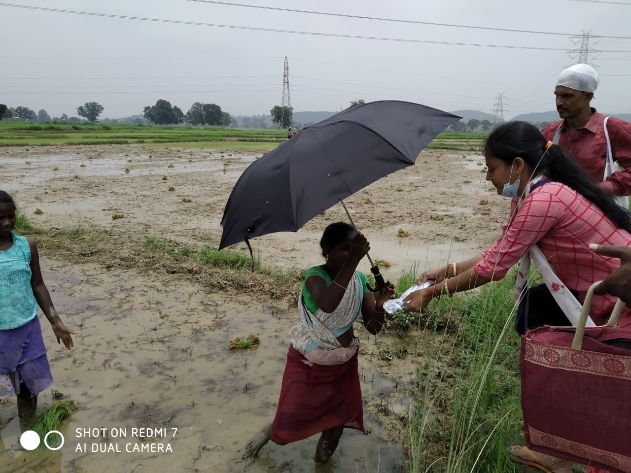 Umbrella Distribution Phase 3