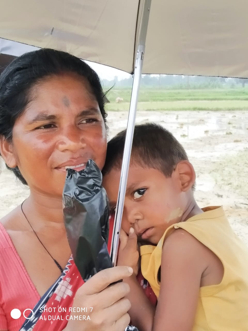 Umbrella Distribution Phase 3