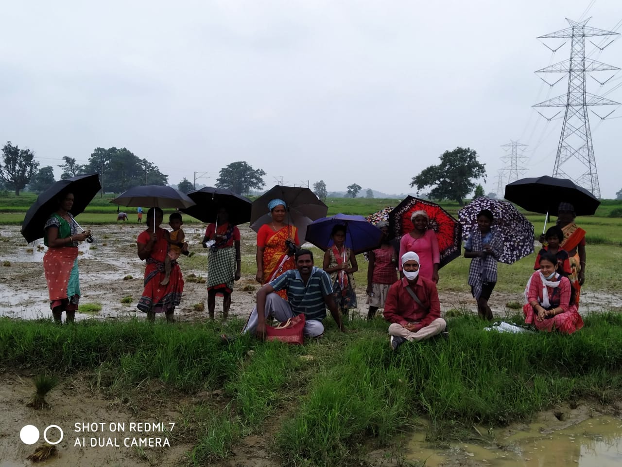 Umbrella Distribution Phase 3