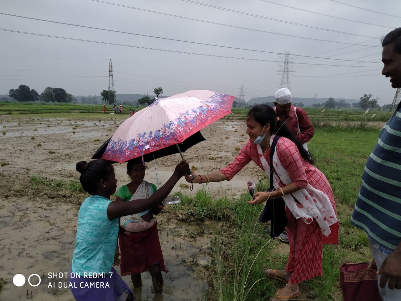 Umbrella Distribution Phase 3