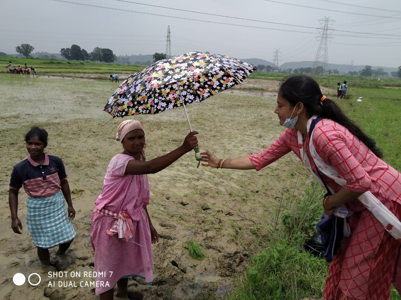 Umbrella Distribution Phase 3