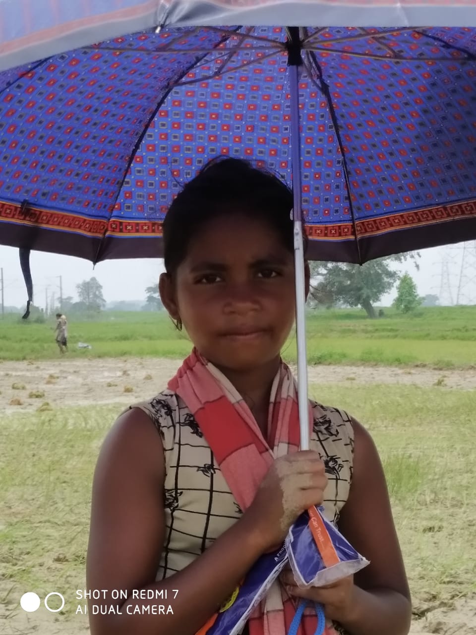 Umbrella Distribution Phase 3
