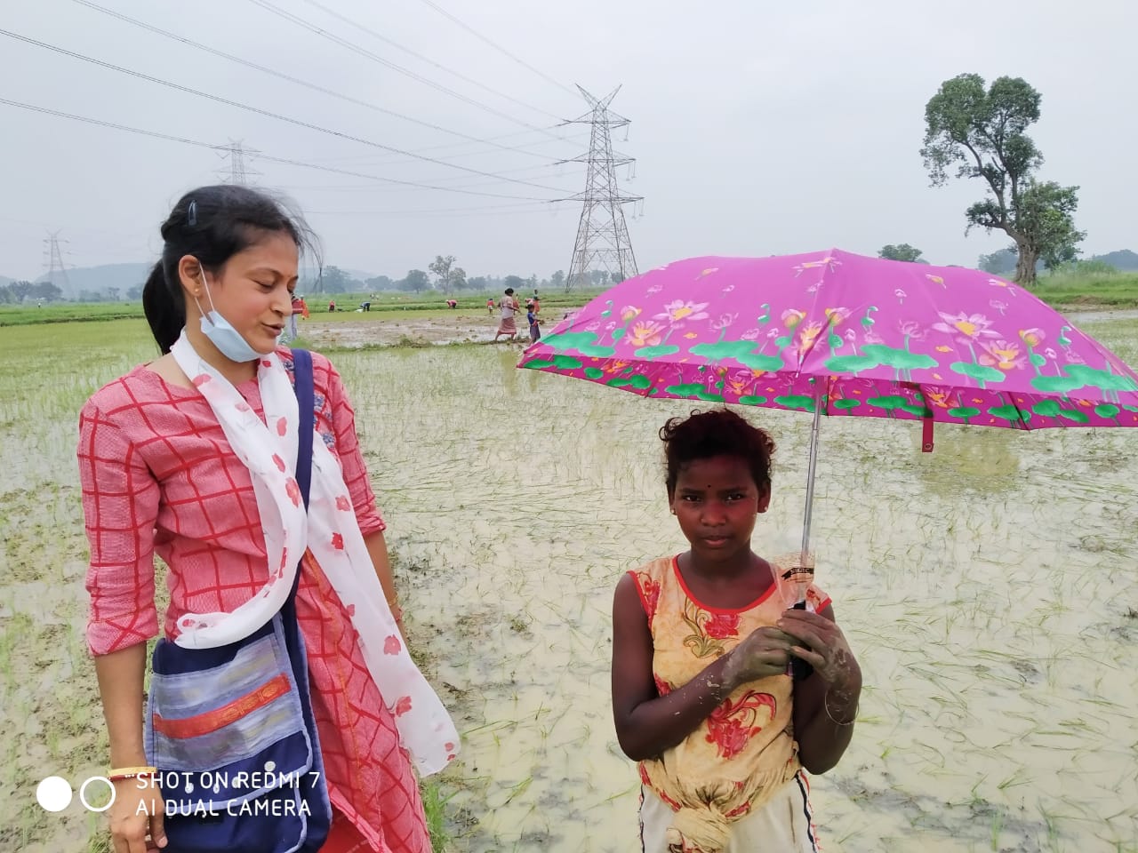 Umbrella Distribution Phase 3