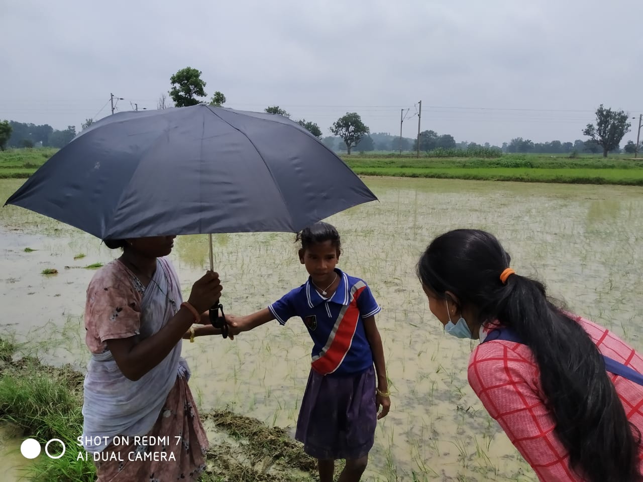 Umbrella Distribution Phase 3