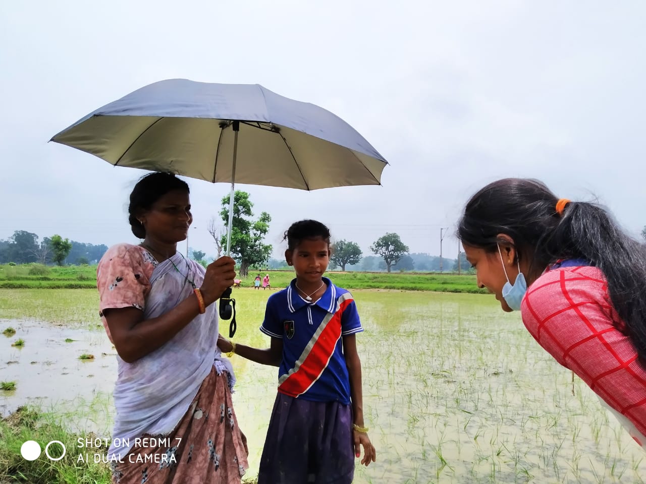 Umbrella Distribution Phase 3
