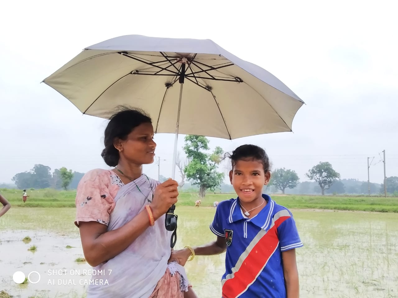 Umbrella Distribution Phase 3