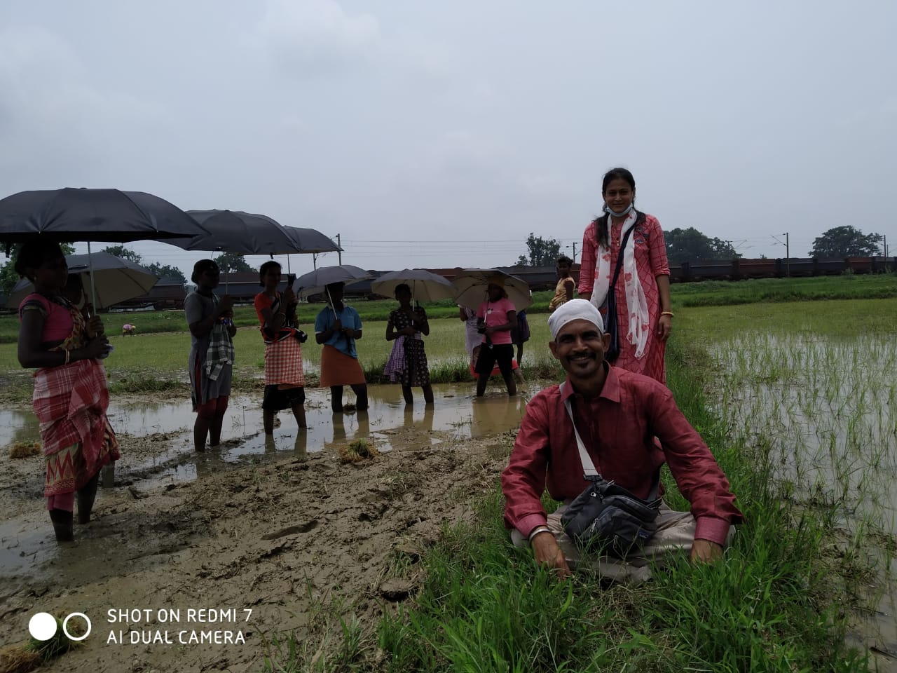 Umbrella Distribution Phase 3