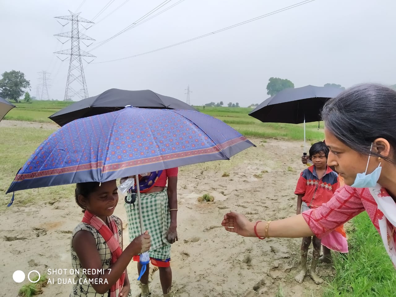 Umbrella Distribution Phase 3