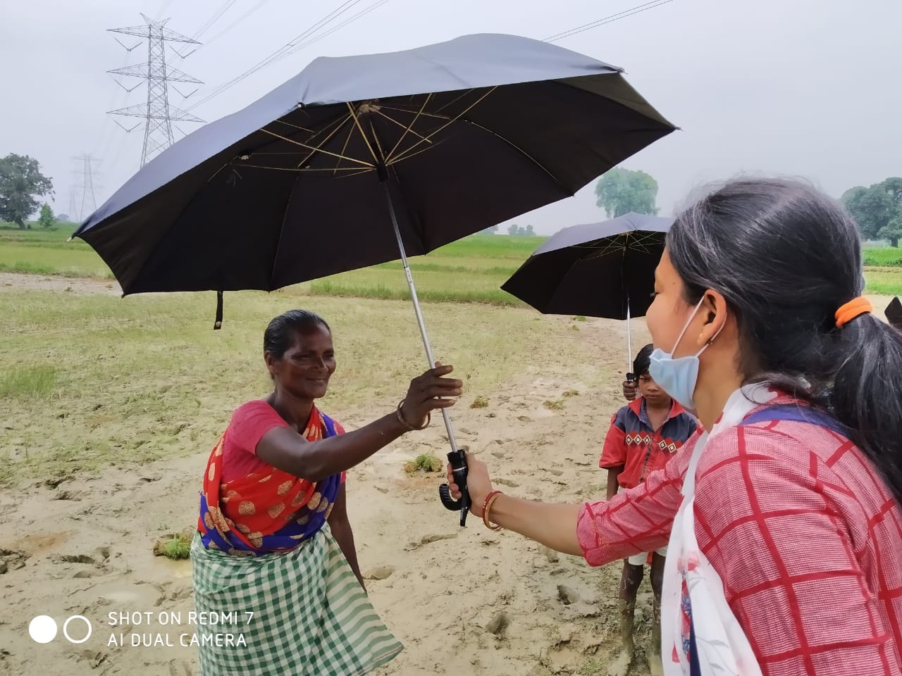 Umbrella Distribution Phase 3