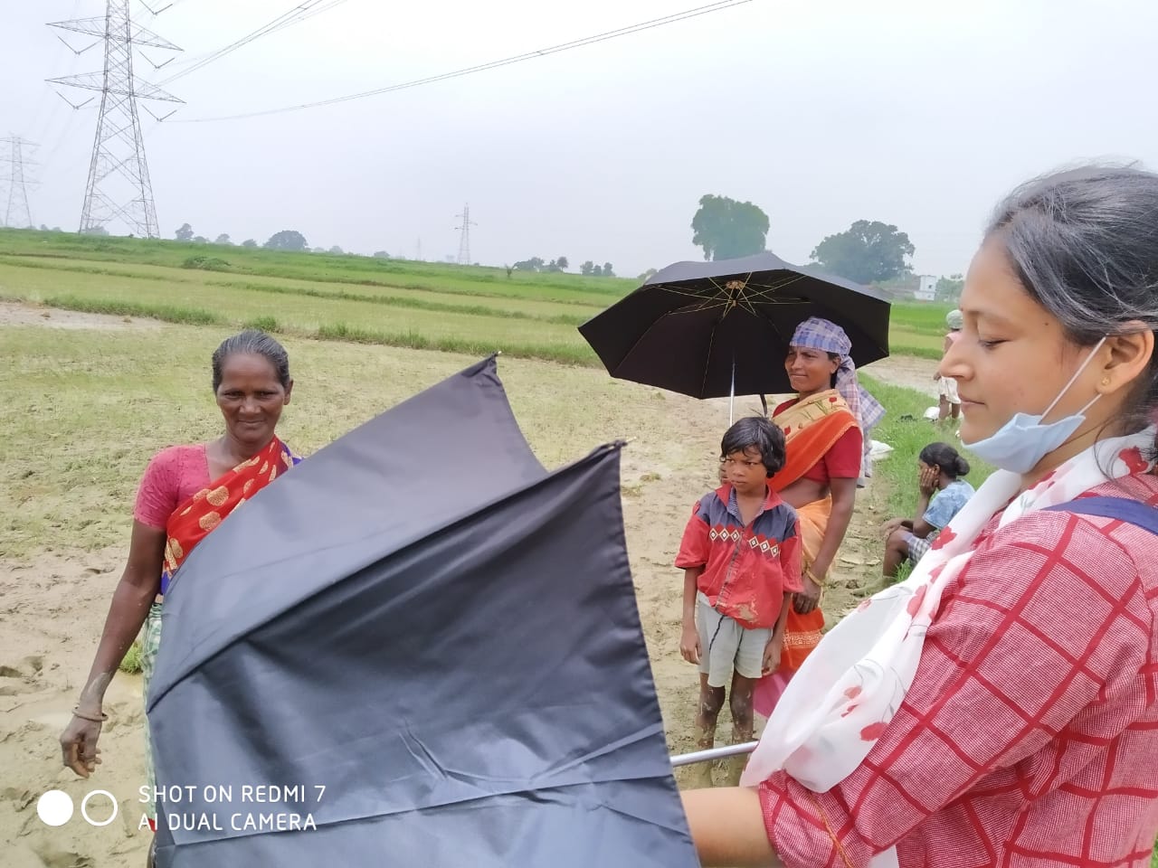 Umbrella Distribution Phase 3