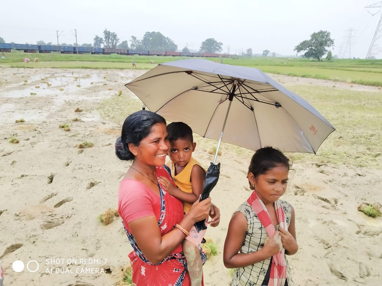 Umbrella Distribution Phase 3