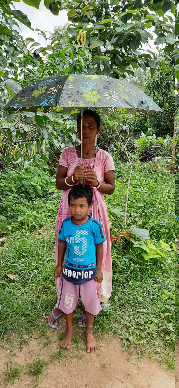 Umbrella Distribution Phase 1