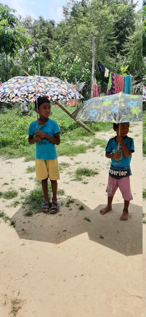 Umbrella Distribution Phase 1